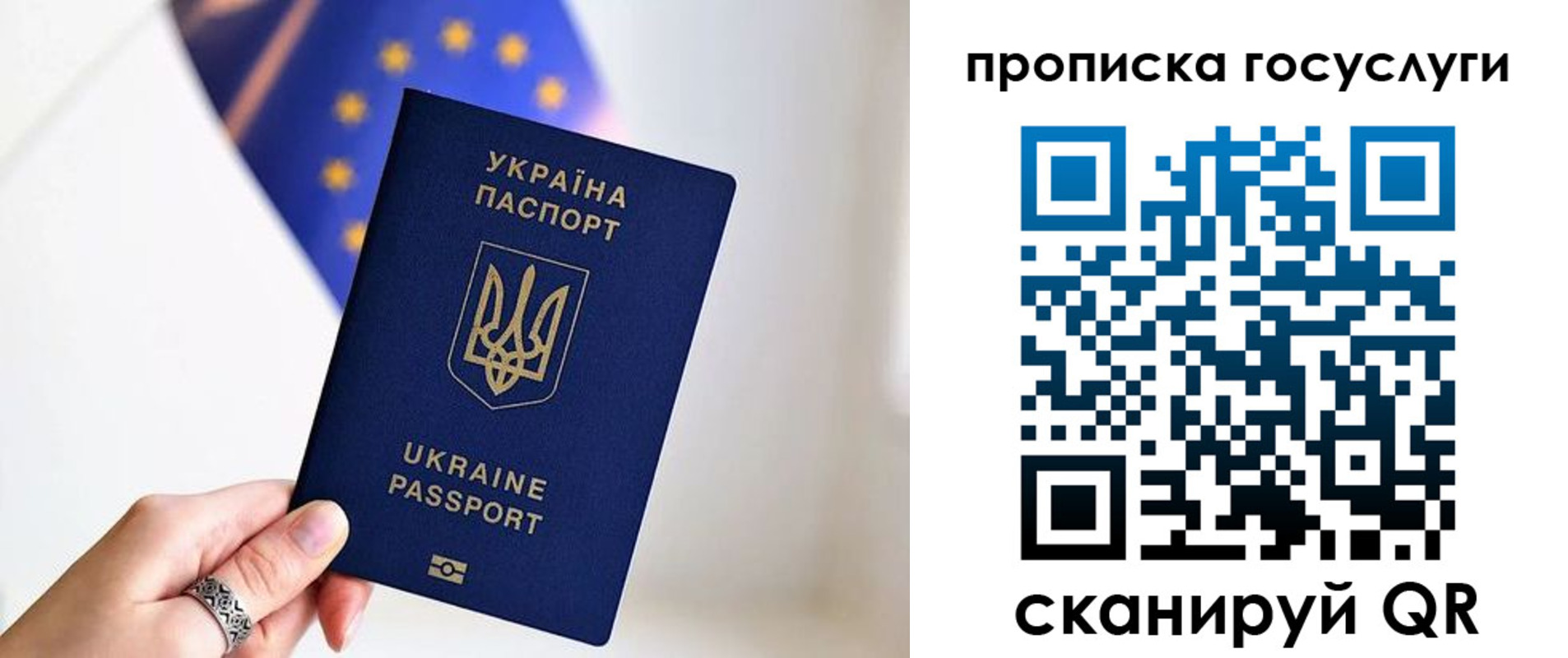 временная регистрация для всех в Павловске